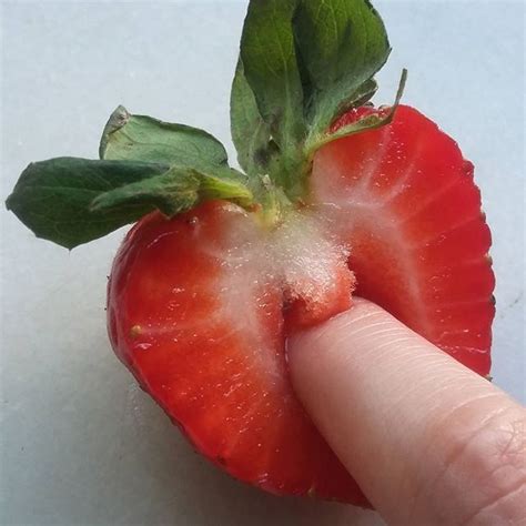 fruit porn|sex.